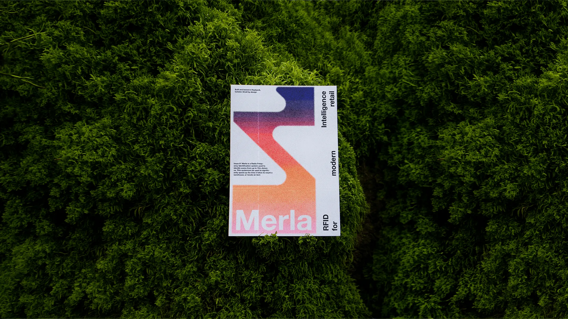 Merla